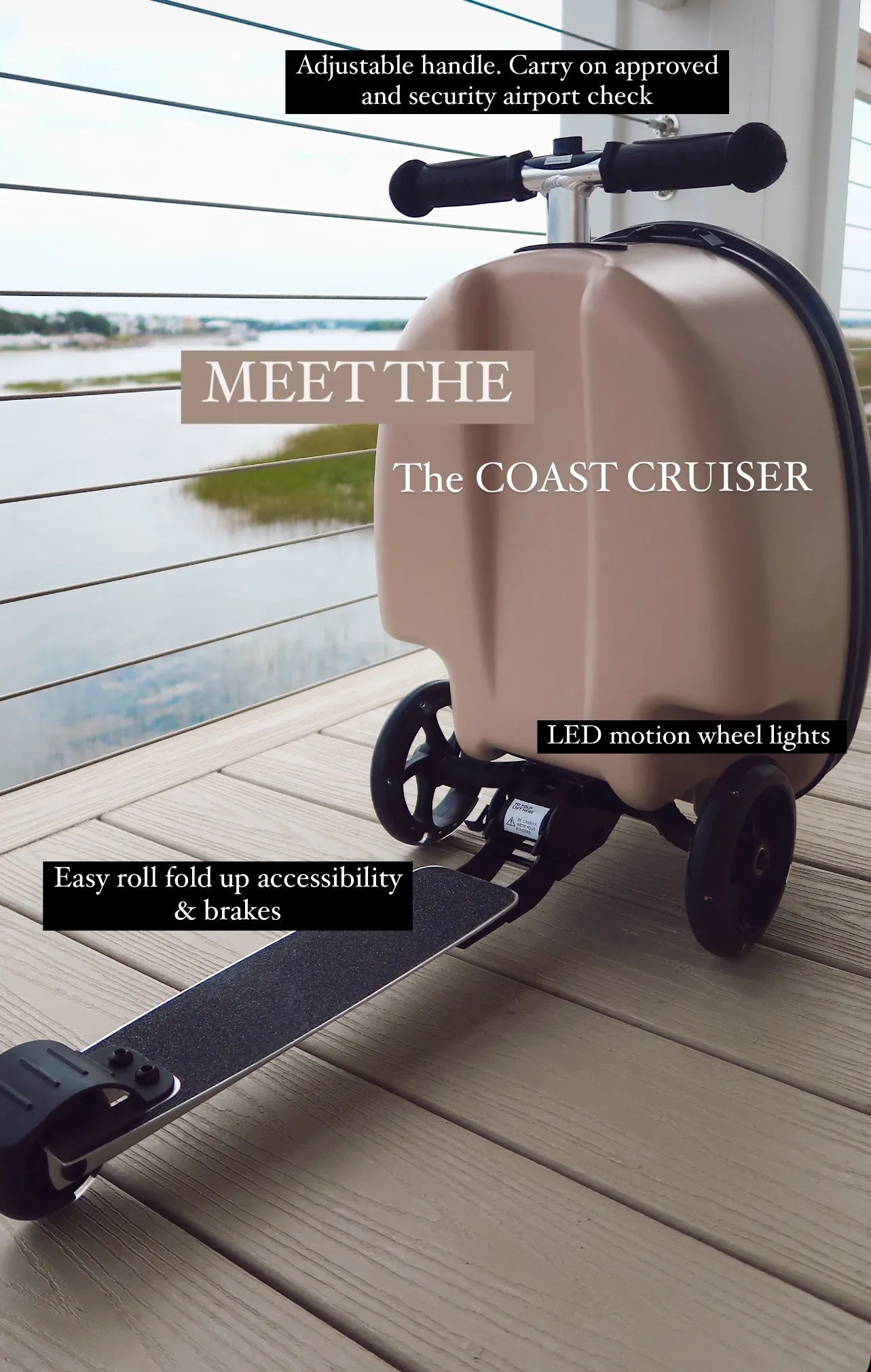 Preorder-Coast Cruiser- Seashell